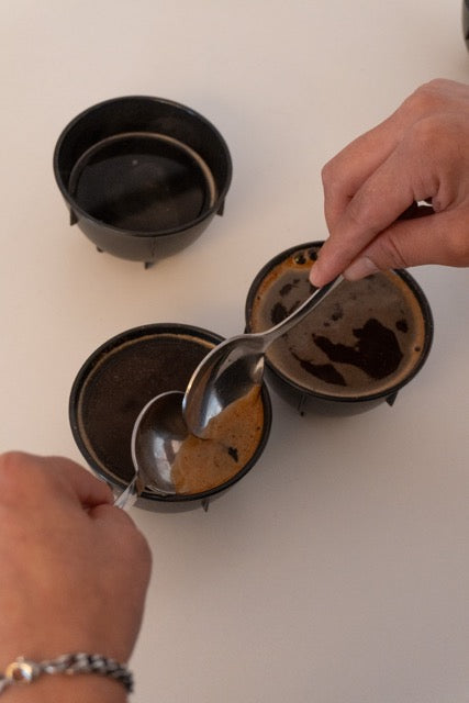 Cata de Café: Forest Colombia